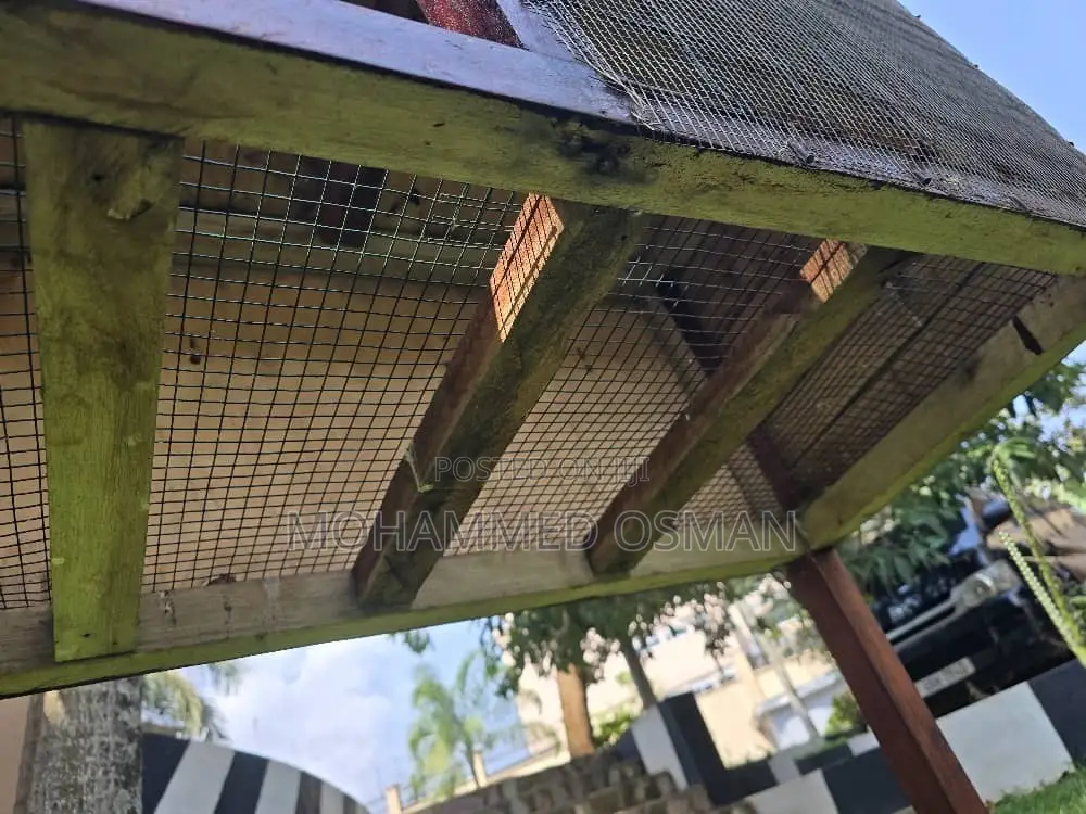 Animal Cage