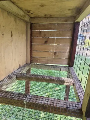 Animal Cage