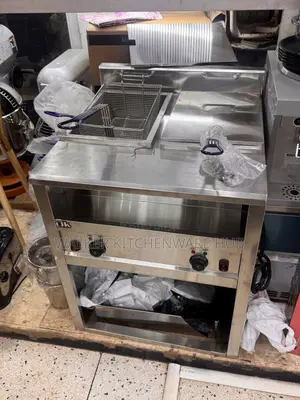 35L Double Stand Alone Commercial Electric Deep Fryer Machine