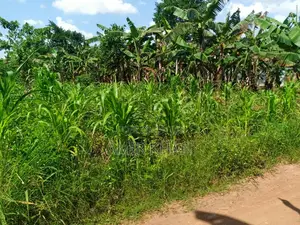 Title Land for Sale in Gayaza Kabubu