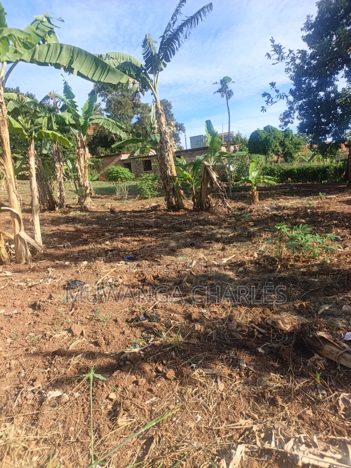 32decimals Onon Sale at Kisaasi Ssebagala