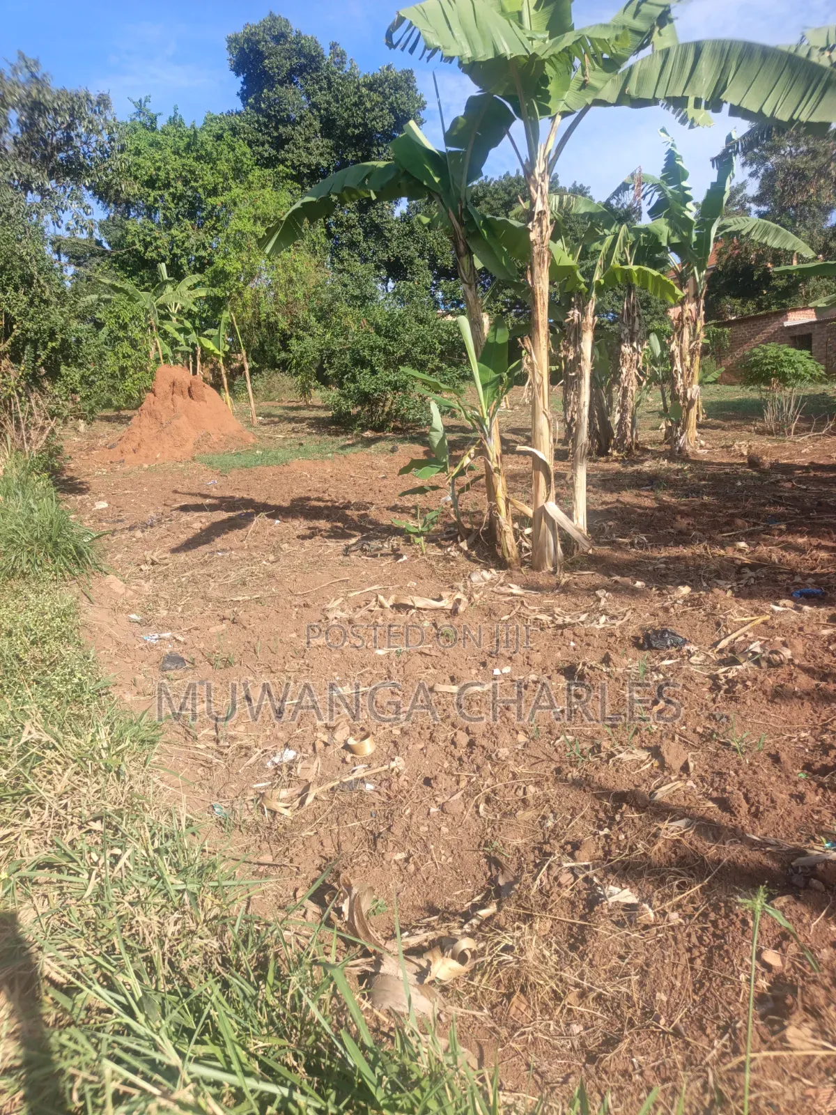 32decimals Onon Sale at Kisaasi Ssebagala