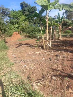32decimals Onon Sale at Kisaasi Ssebagala