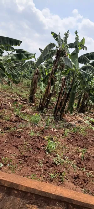 Land for Sale Mperelwe Namere