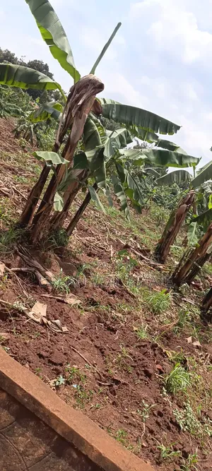 Land for Sale Mperelwe Namere