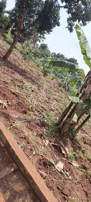 Land for Sale Mperelwe Namere