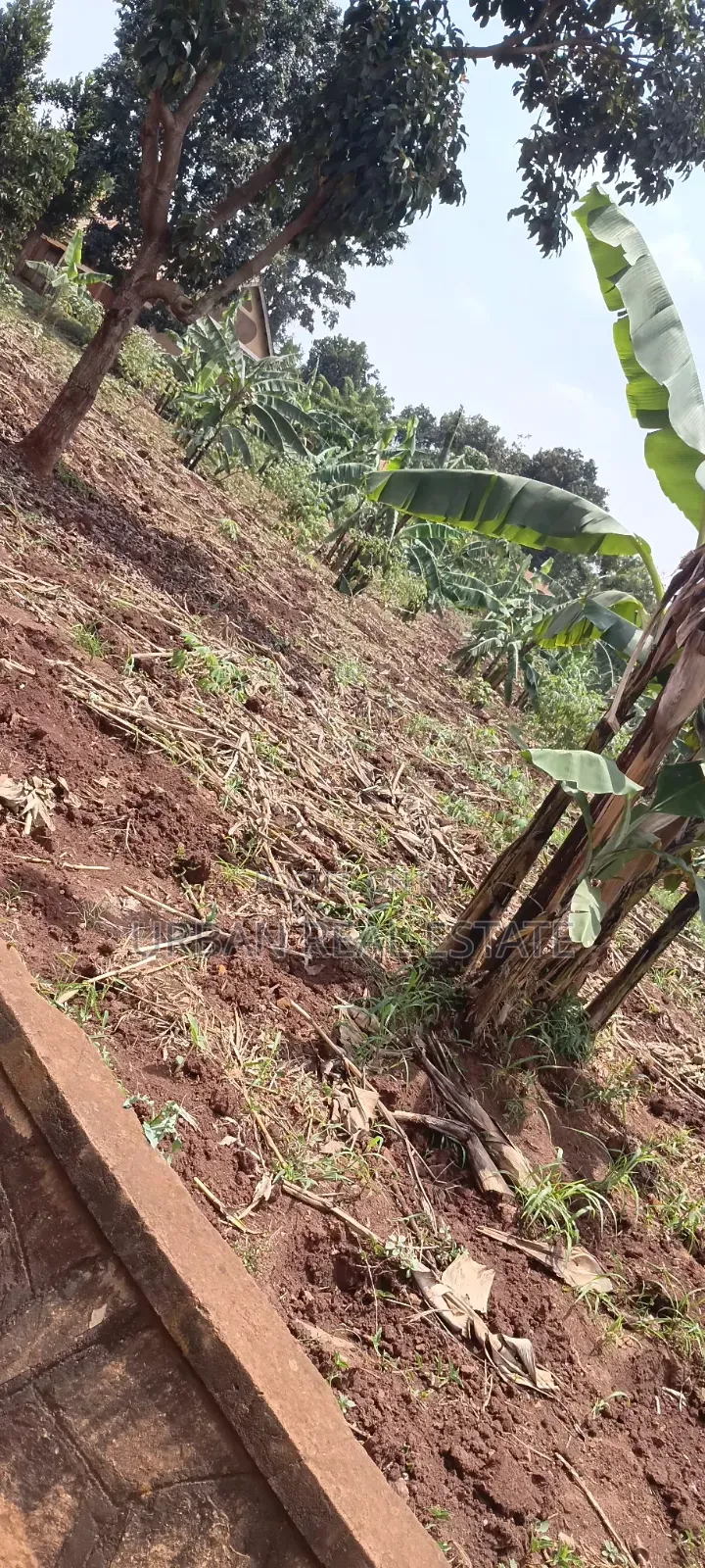 Land for Sale Mperelwe Namere
