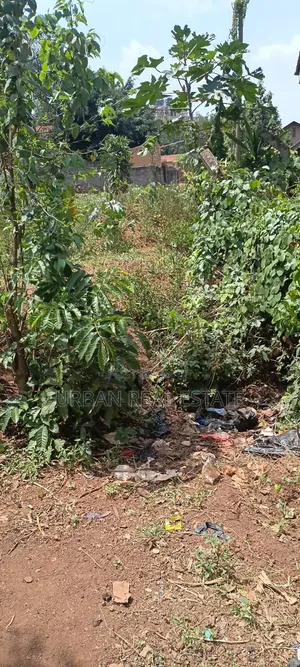 Land for Sale Mperelwe Namere