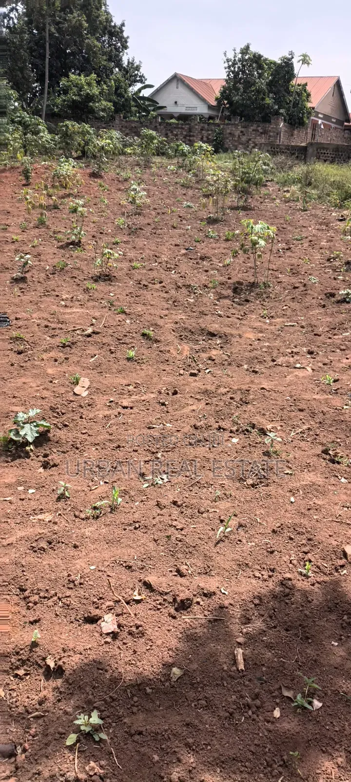 Land for Sale Mperelwe Namere