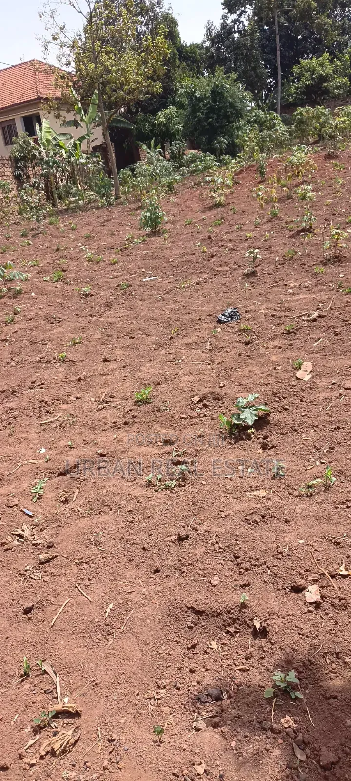 Land for Sale Mperelwe Namere