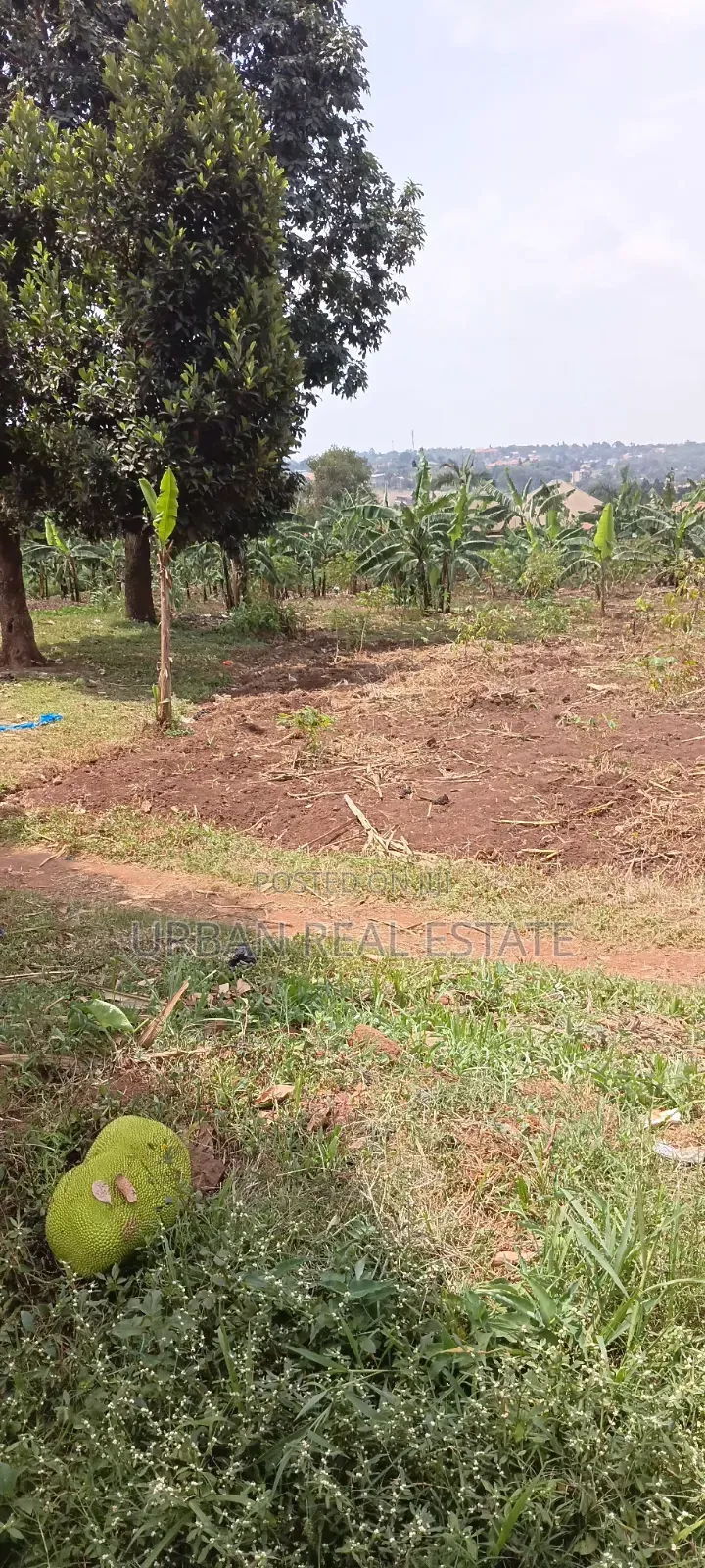 Land for Sale Mperelwe Namere