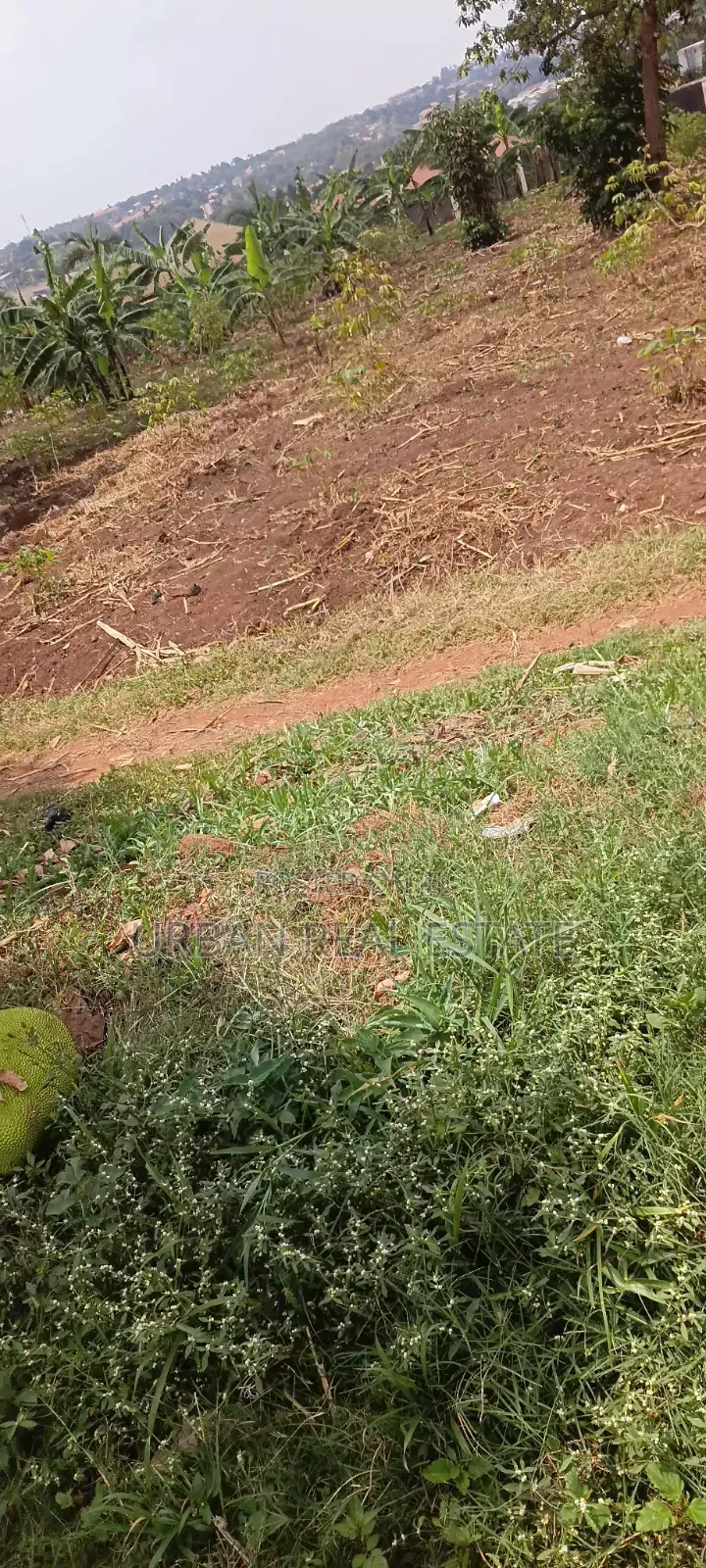Land for Sale Mperelwe Namere