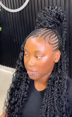 Curly Fulani Hairstyles