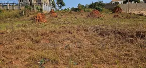  32 Decimals of Land for Sale – Wamala via Akright Estate 