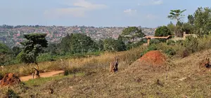  32 Decimals of Land for Sale – Wamala via Akright Estate 