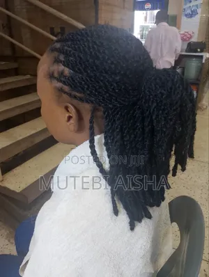 Coco Twist Hairstyle