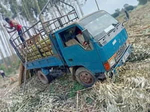 Buy and Drive Tipper