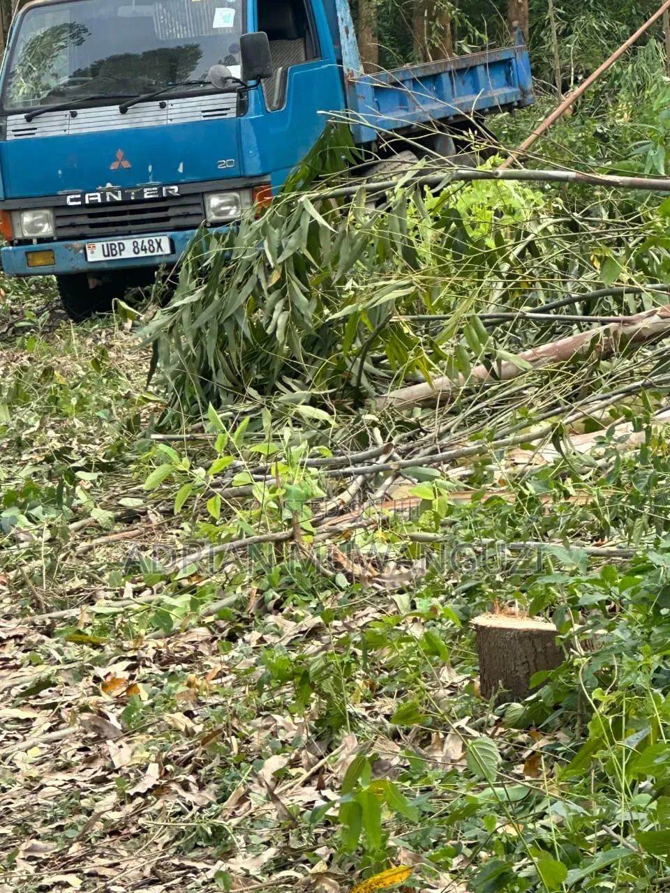 Buy and Drive Tipper