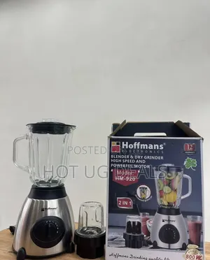 Hoffmans HM-920 2-in-1 Electric Glass Blender Dry Grinder 1.5L