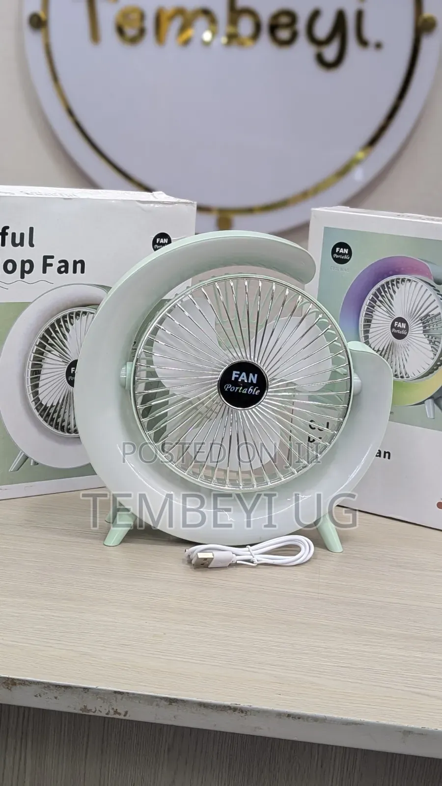 Rechargeable Table Fan Adjustable Desktop Fan With RGB Lights