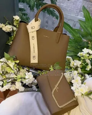 Ladies Classy Bags