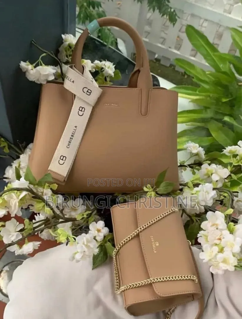 Ladies Classy Bags