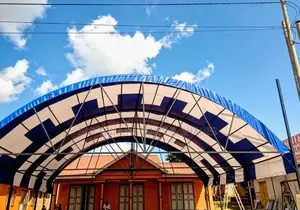 Heavy-Duty Barrel Vault Arch Canopy