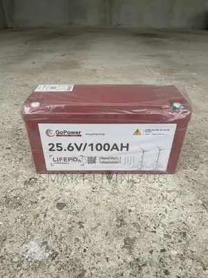 GoPower 25.6V 100AH Smart LiFePO4 Battery for Solar Inverter Setup