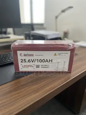 Brand New GoPower 25.6V 100AH LiFePO4 Battery for Home Solar Backup
