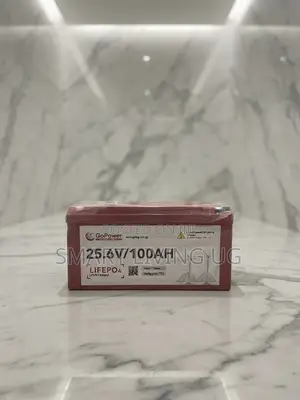 High-Capacity GoPower 25.6V 100AH Lithium Iron Phosphate Battery