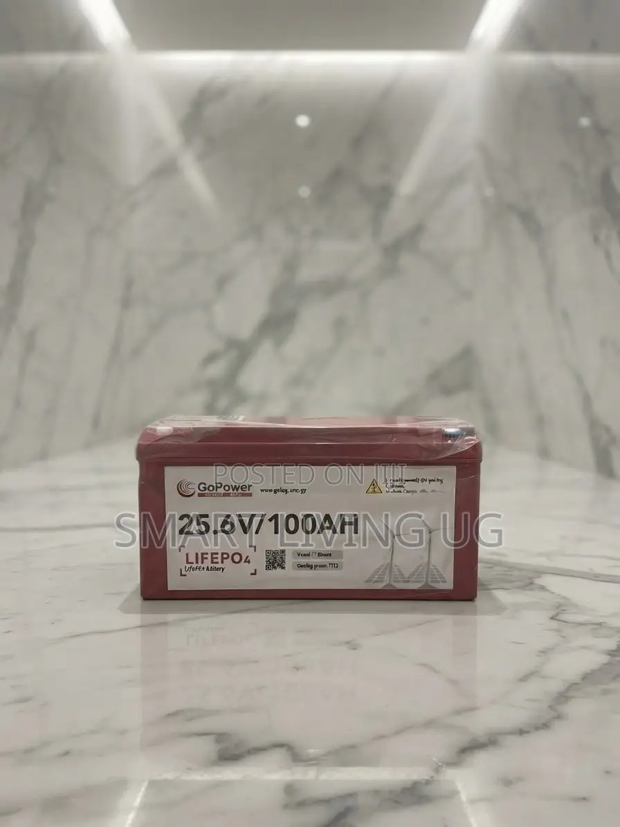 High-Capacity GoPower 25.6V 100AH Lithium Iron Phosphate Battery