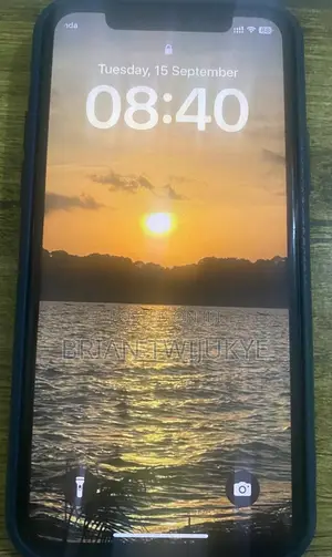 Apple iPhone 11 256 GB Gray
