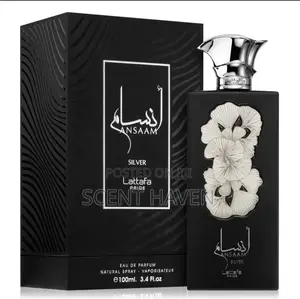 Ansam Silver