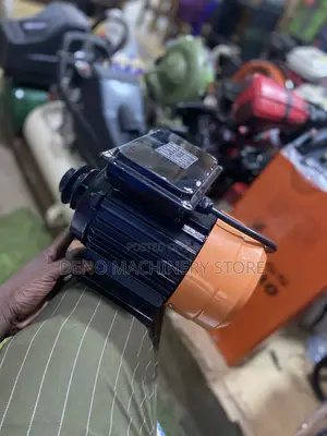 Motors Electric