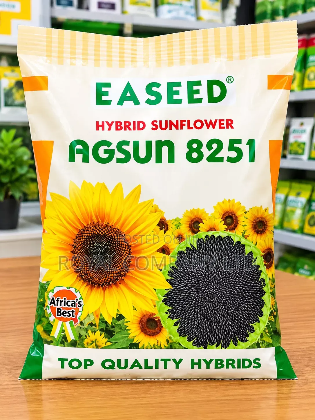 Hybrid Sunflower Seed 1kg EA Seed