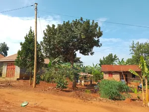 Plot for Sale in Matugga Kavule 100*100