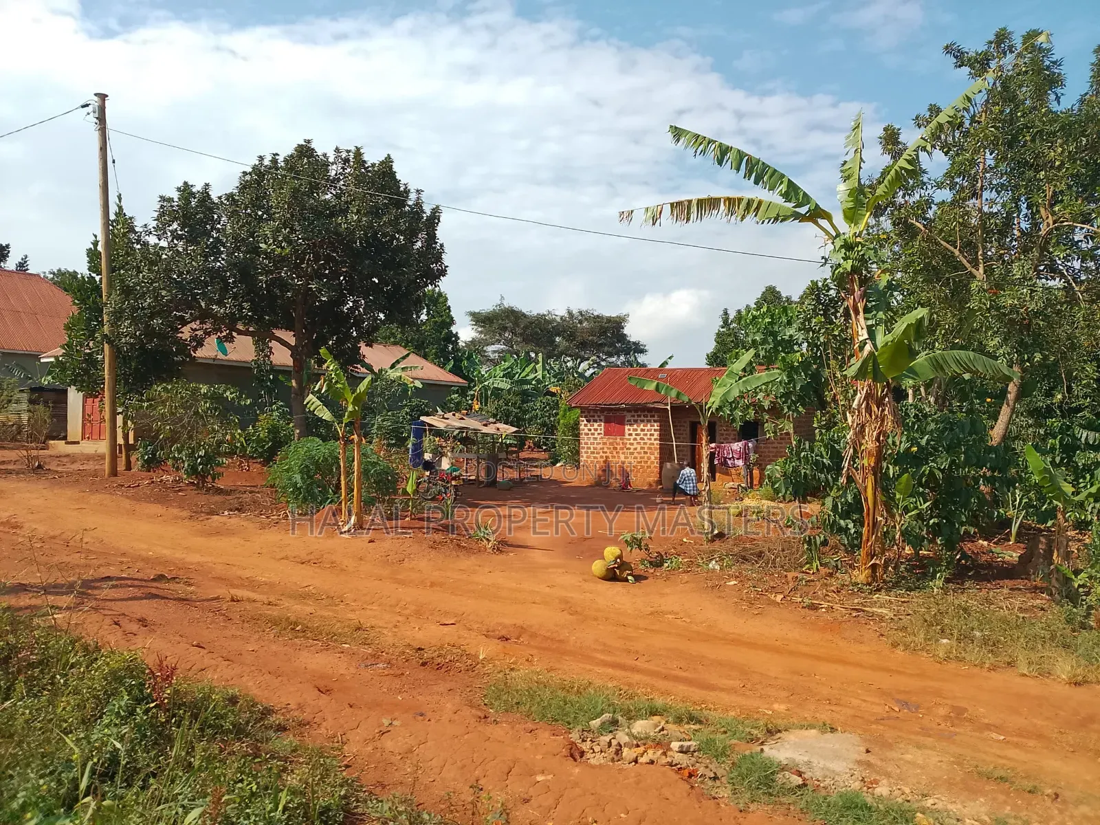 Plot for Sale in Matugga Kavule 100*100
