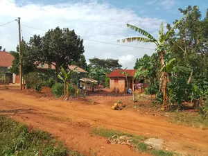 Plot for Sale in Matugga Kavule 100*100