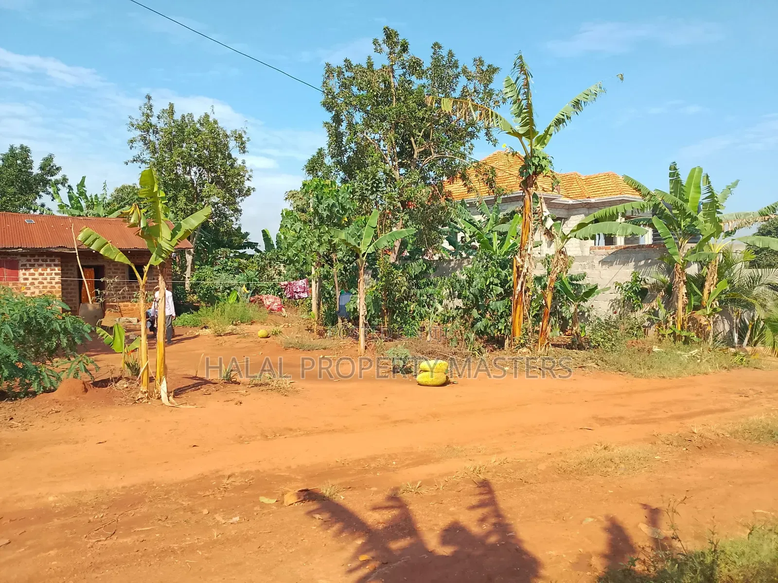 Plot for Sale in Matugga Kavule 100*100