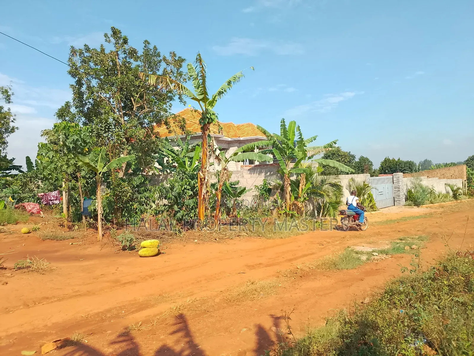 Plot for Sale in Matugga Kavule 100*100