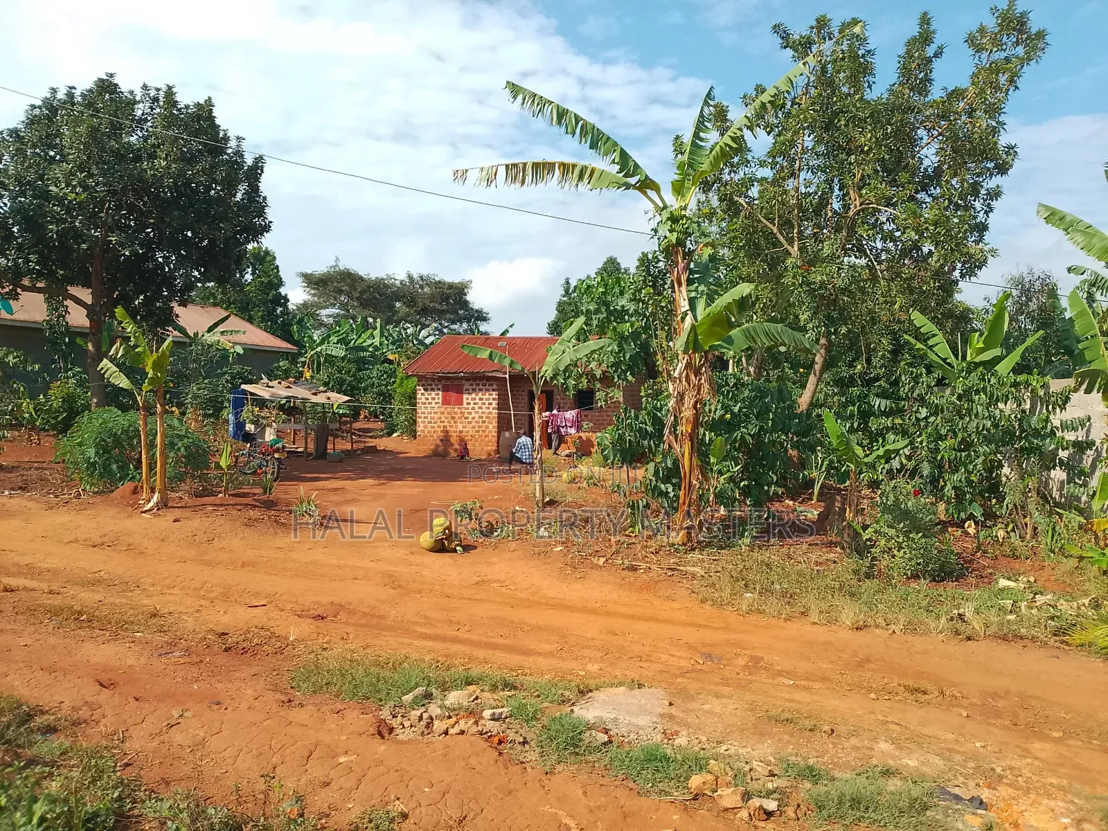 Plot for Sale in Matugga Kavule 100*100