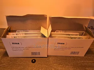 Tesla AA Rechargeable Batteries
