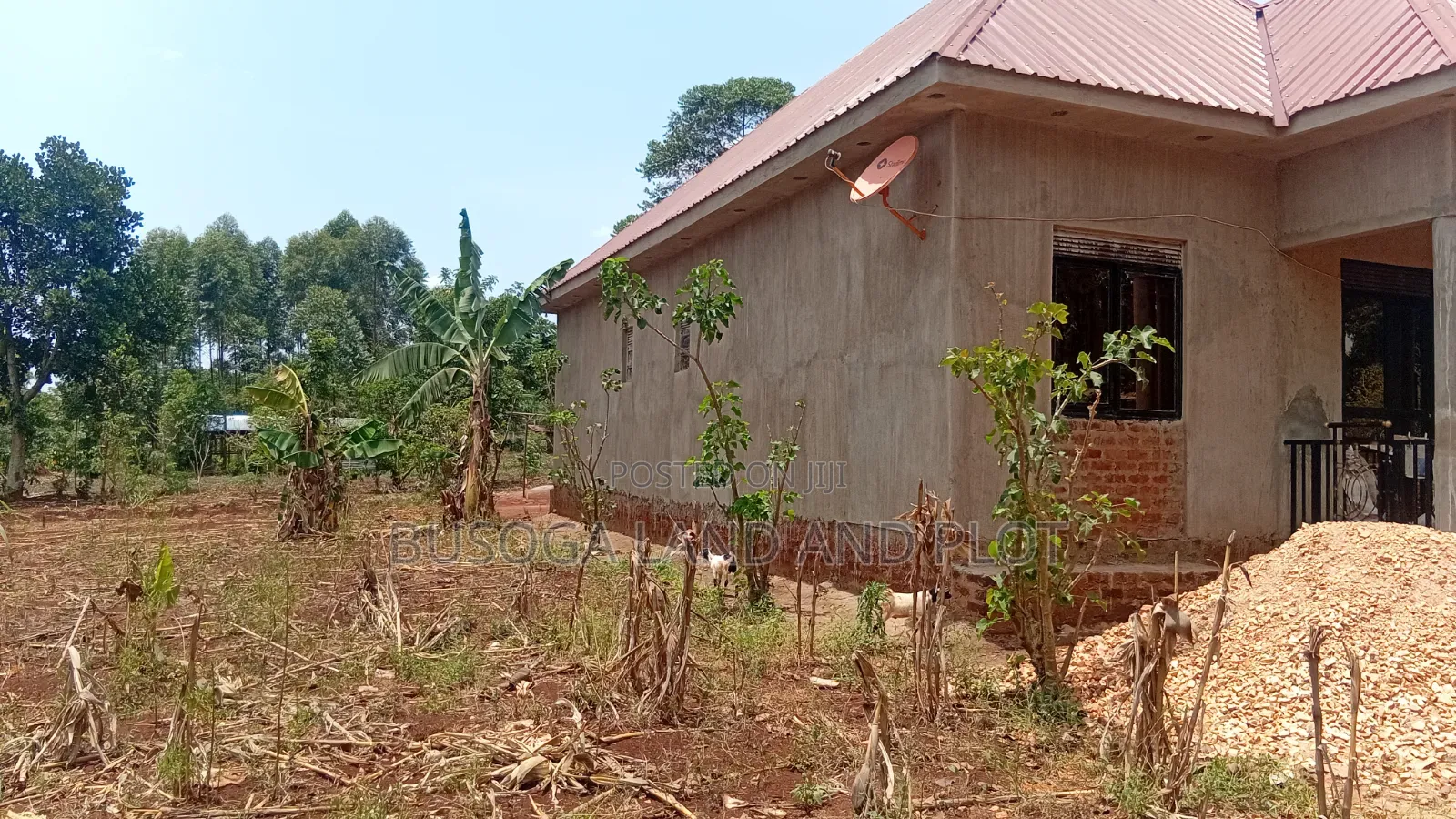 30 × 100 Ft Plot for Sale – Namulesa, Jinja City, Priced .