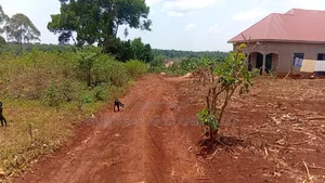 30 × 100 Ft Plot for Sale – Namulesa, Jinja City, Priced .