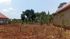 30 × 100 Ft Plot for Sale – Namulesa, Jinja City, Priced .