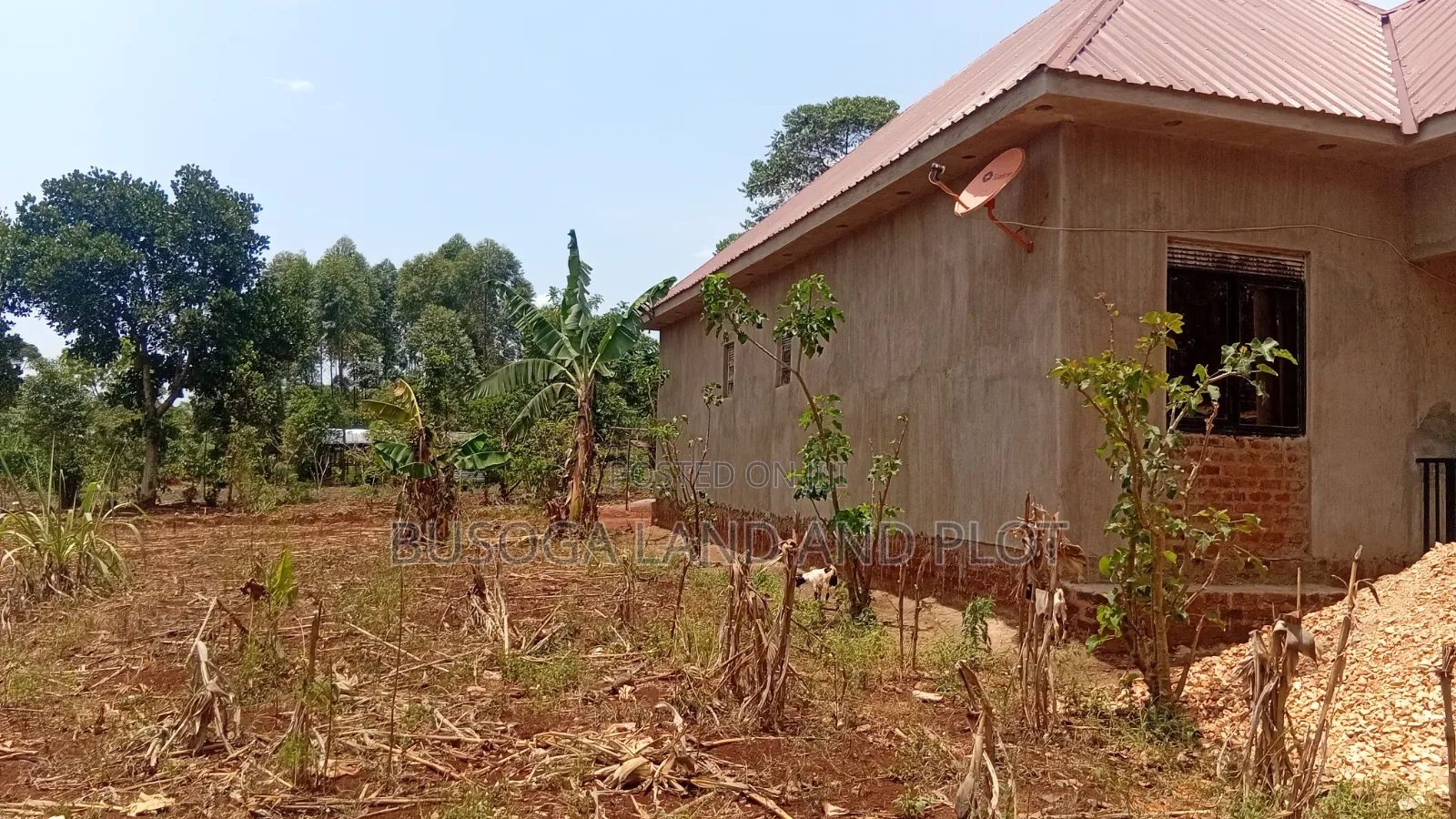 30 × 100 Ft Plot for Sale – Namulesa, Jinja City, Priced .