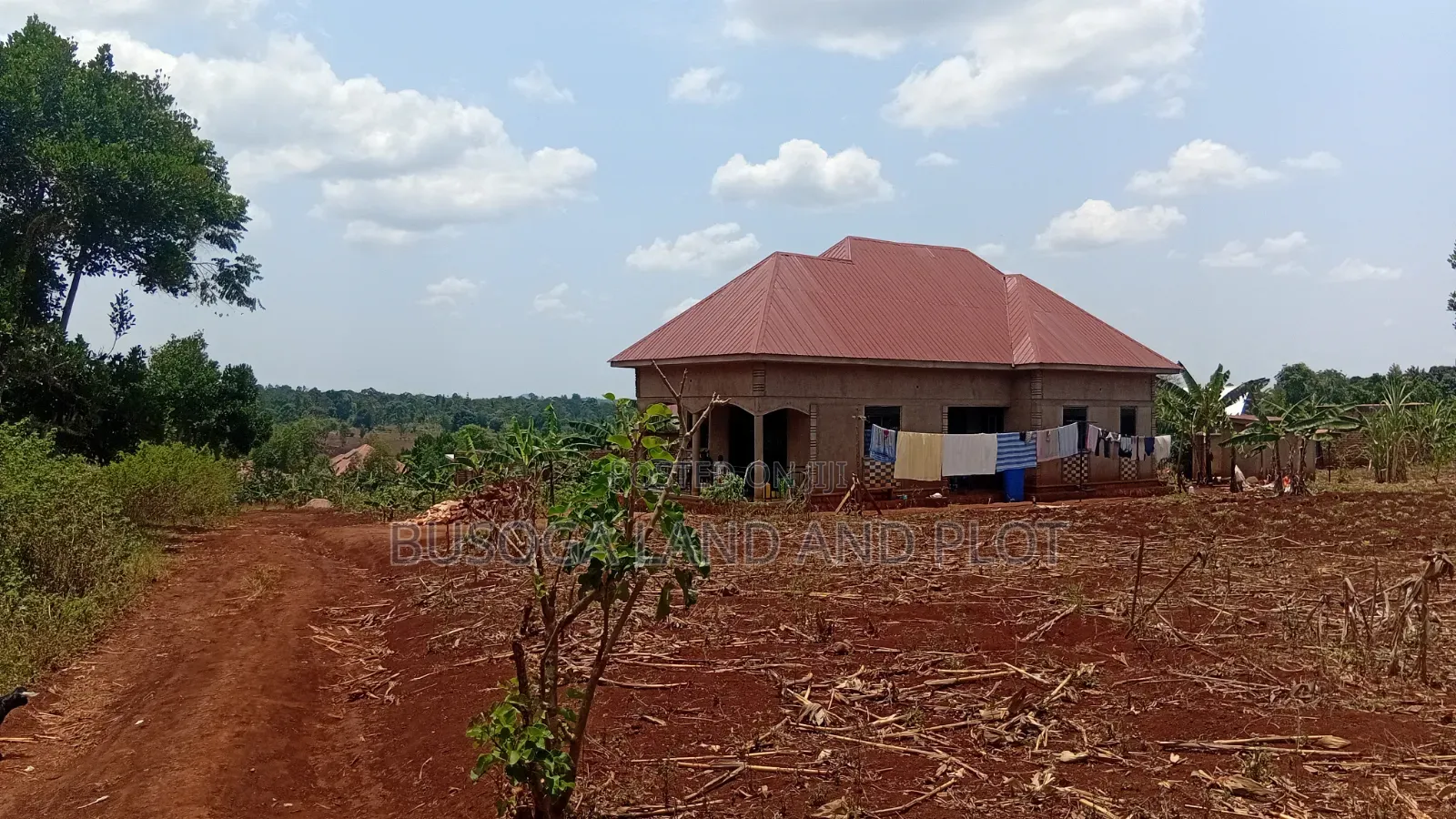 30 × 100 Ft Plot for Sale – Namulesa, Jinja City, Priced .