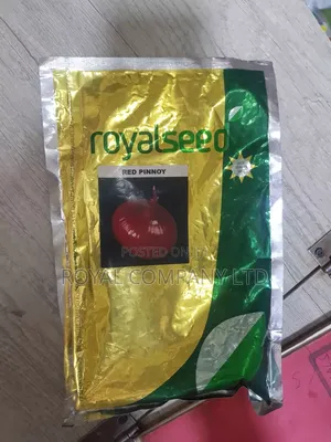 Red Pinnoy Onion Quarter Hybrid