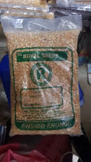 Popcorn Seeds 2kgs