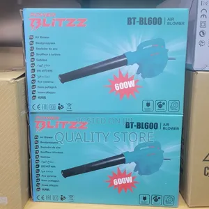 High-Speed Air Blower 600w Blitizz